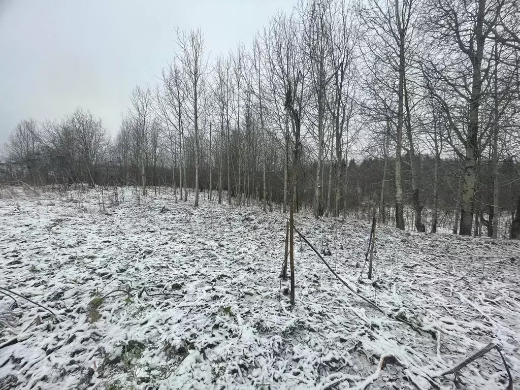 Участок в Коми, Сыктывдинский район, с. Выльгорт  (20.37 сот.) - Фото 0