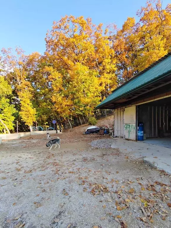Дом в Приморский край, Партизанский муниципальный округ, с. ... - Фото 2