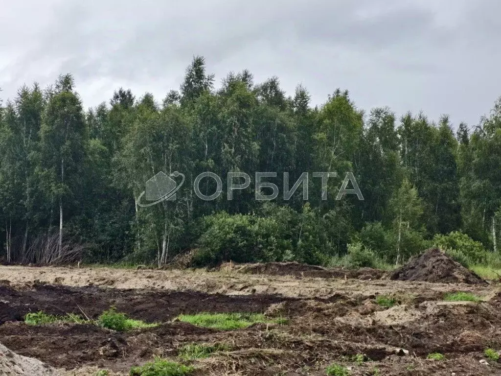 Участок в Тюменская область, Тюменский район, д. Решетникова  (6.6 ... - Фото 0