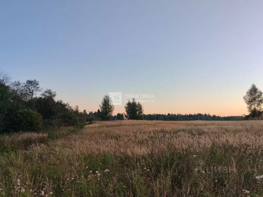 Участок в Московская область, Дмитровский муниципальный округ, д. ... - Фото 1