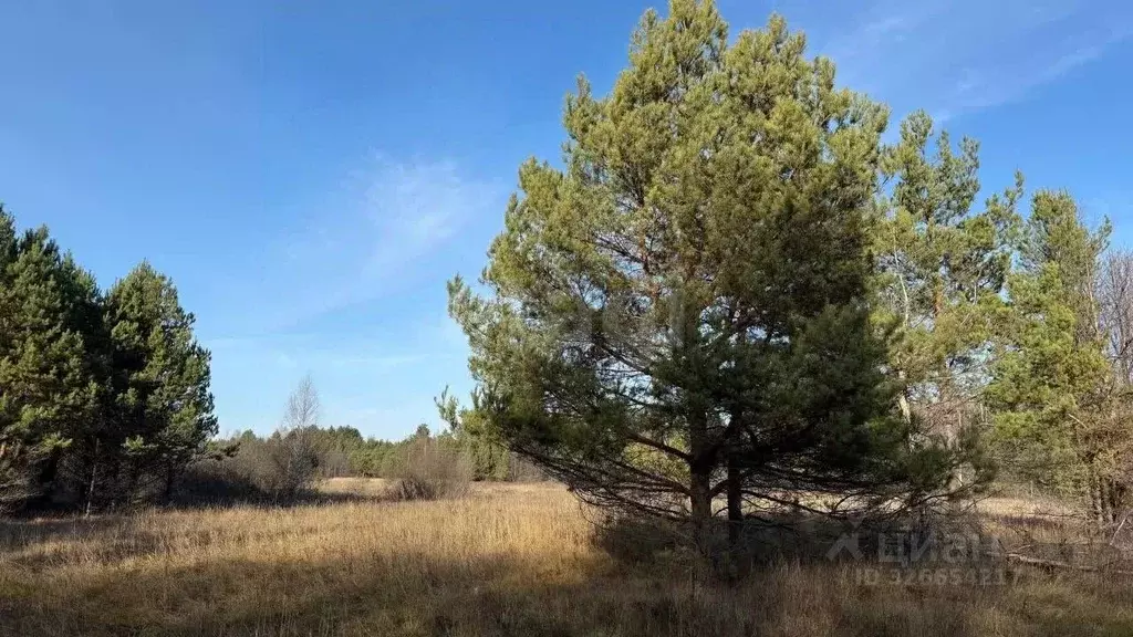 Участок в Мордовия, Ичалковский район, пос. Смольный  (1200.0 сот.) - Фото 1