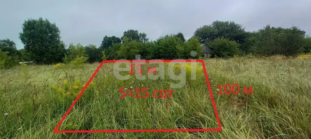 Участок в Брянская область, Дятьковский район, Березинское с/пос, с. ... - Фото 1