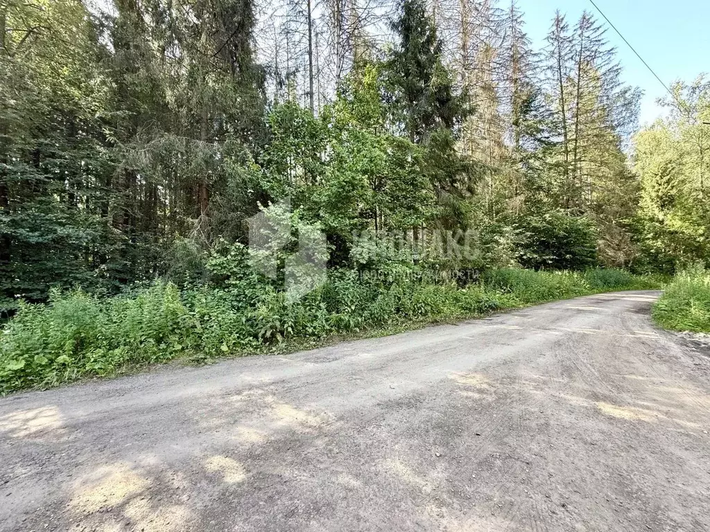 Участок в Москва Вузсервис СНТ, 151 (12.0 сот.) - Фото 2