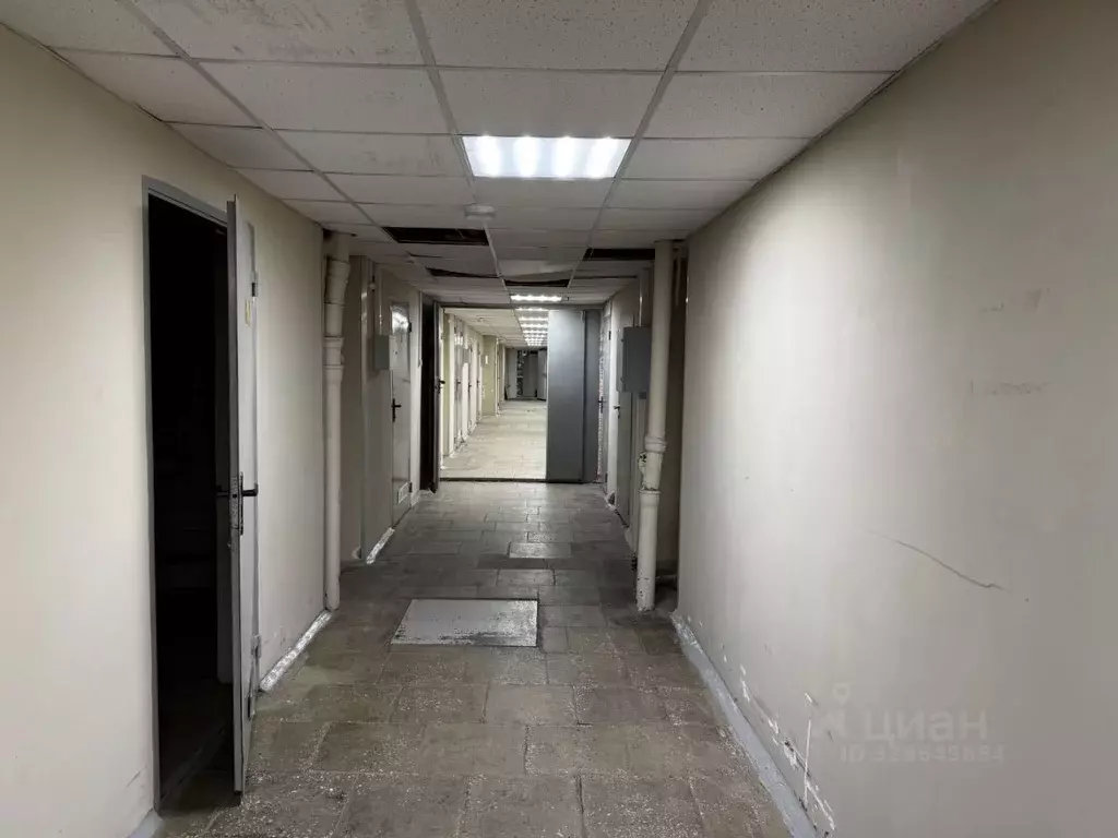 Офис в Кировская область, Киров ул. Сурикова, 19 (36 м) - Фото 1