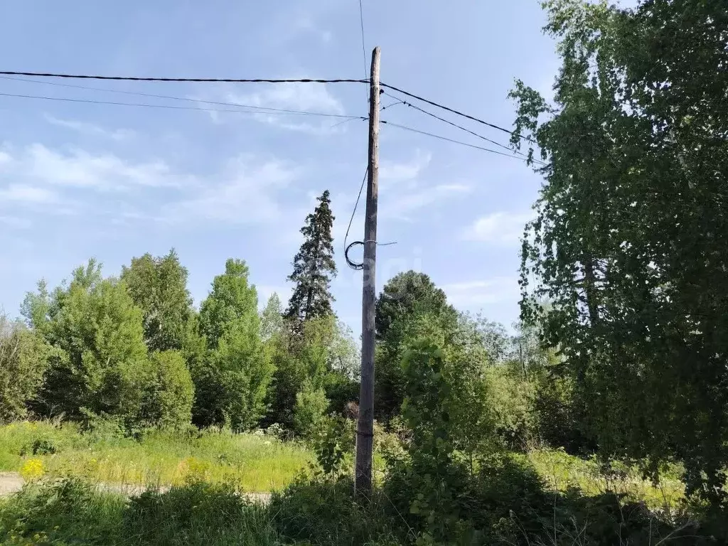 Участок в Томская область, Томский район, д. Кандинка ул. Сибирская ... - Фото 0