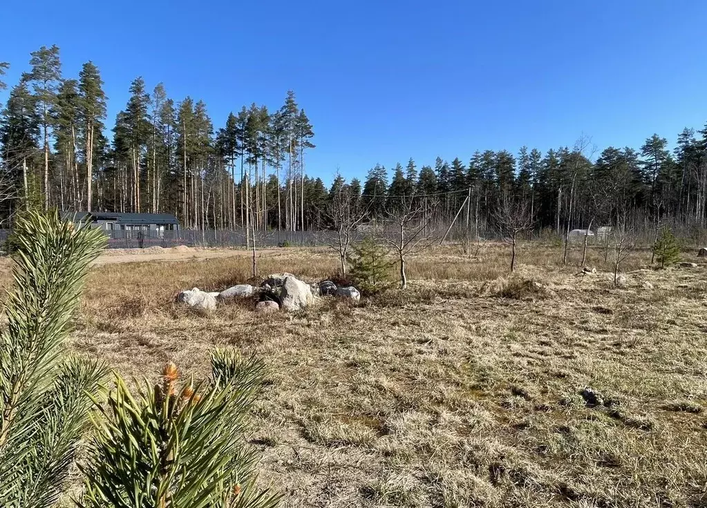 Участок в Ленинградская область, Выборгский район, Полянское с/пос, ... - Фото 1