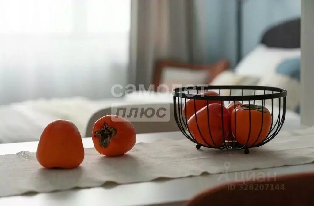 Студия Москва проезд Серебрякова, 11к2 (26.0 м) - Фото 1