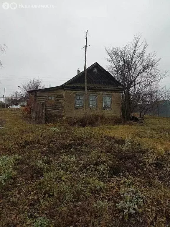 Дом в Республика Мордовия, село Кочкурово (40 м) - Фото 0