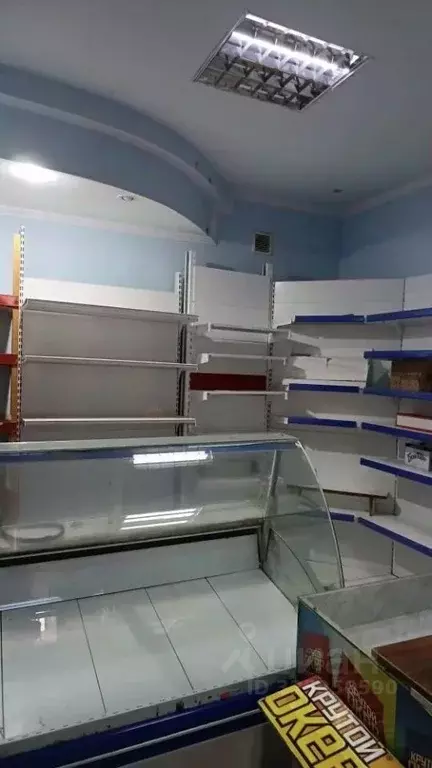 Помещение свободного назначения в Краснодарский край, Ейск Красная ... - Фото 1