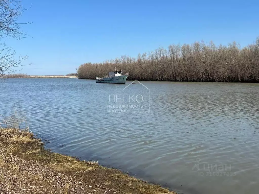 Участок в Новосибирская область, Колыванский район, Заря СНТ ул. Новая ... - Фото 1