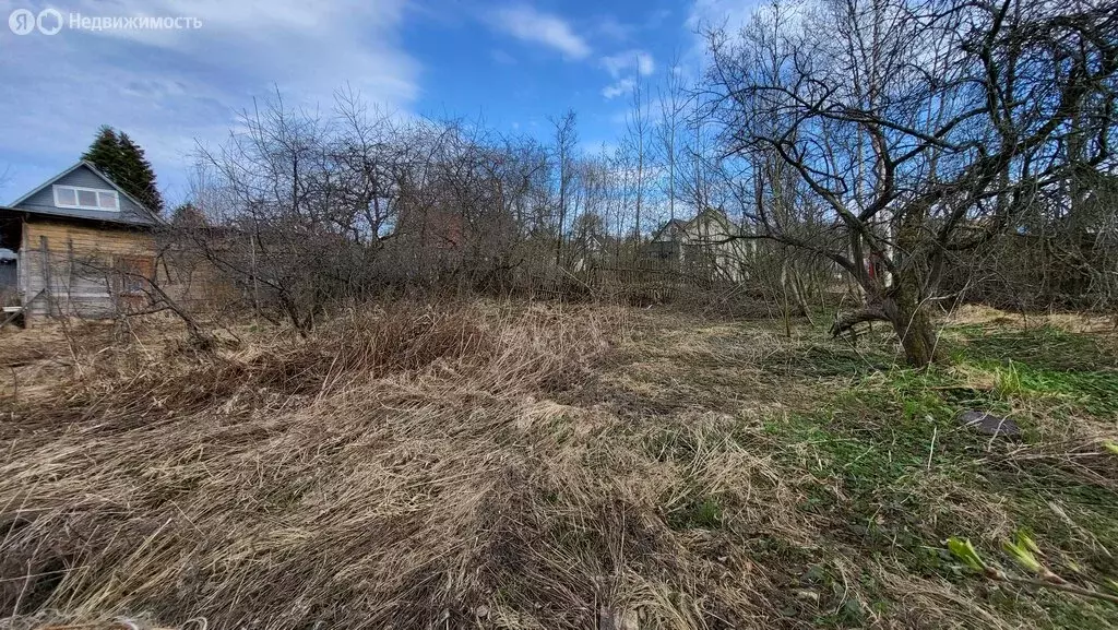 Участок в Кировский район, Синявинское городское поселение, ... - Фото 2