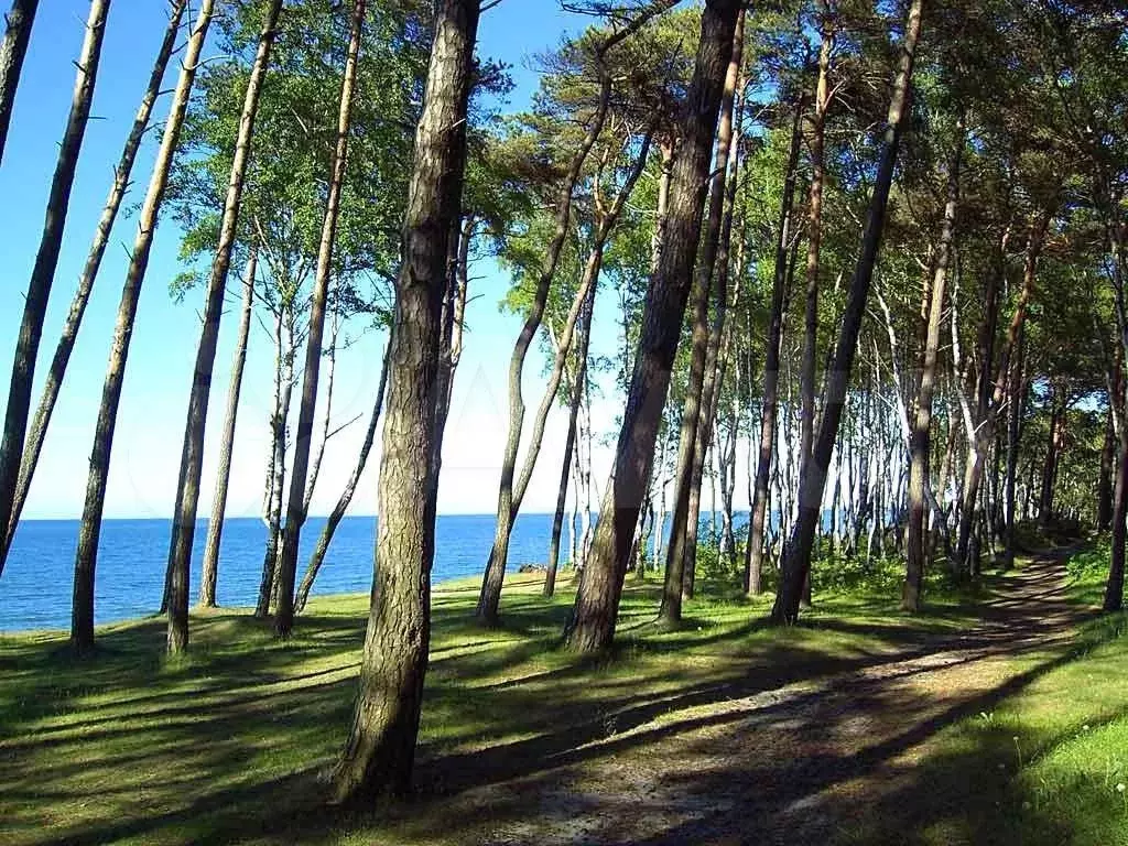 2-к. квартира, 64,3 м, 4/4 эт. - Фото 1