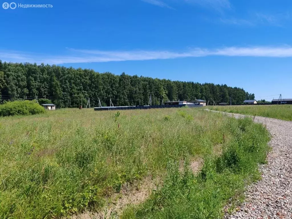 Участок в Московская область, Раменский муниципальный округ, КП ... - Фото 2