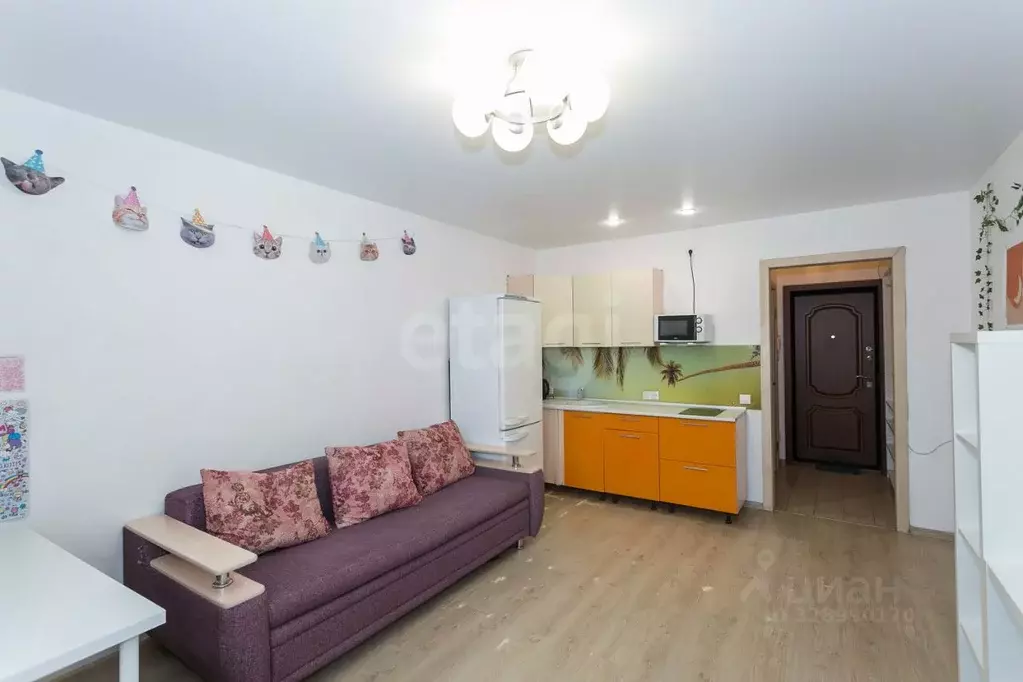 Студия Новосибирская область, Новосибирск ул. Виктора Уса, 7 (22.6 м) - Фото 2