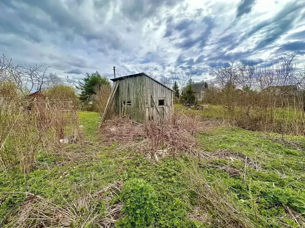 Участок в Санкт-Петербург, Санкт-Петербург, Пушкин СНТ Дони тер., ул. ... - Фото 1