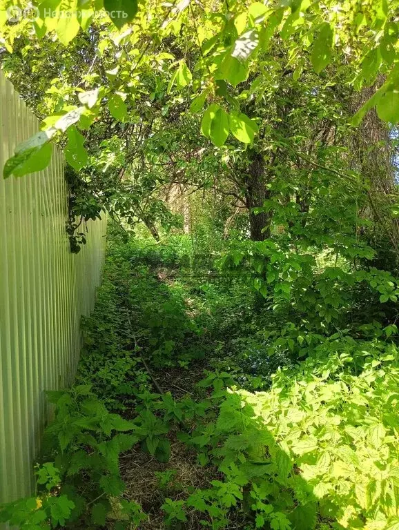 Участок в Казань, садоводческое некоммерческое товарищество Ветеран ... - Фото 0