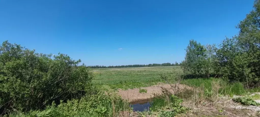 Участок в Ярославская область, Ярославский район, Кузнечихинское ... - Фото 0