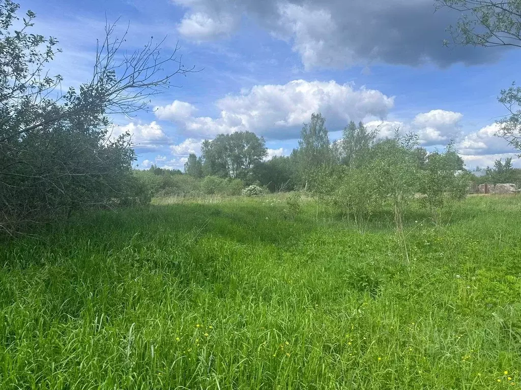 Участок в Московская область, Богородский городской округ, д. ... - Фото 1
