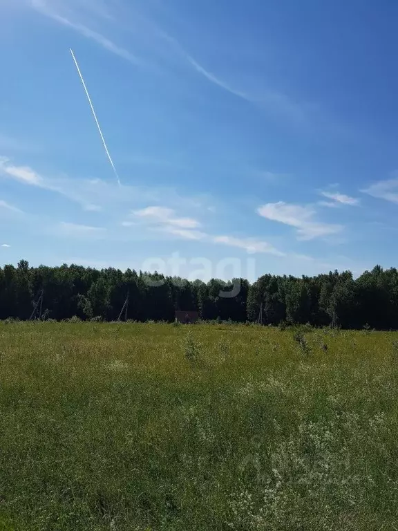 Участок в Калужская область, Калуга городской округ, д. Лихун 20А ... - Фото 0