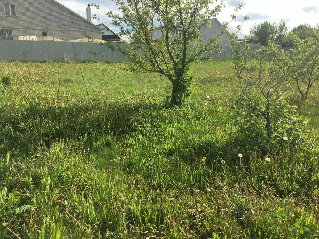 Участок в Татарстан, Тукаевский район, Азьмушкинское с/пос, пос. Новый ... - Фото 2