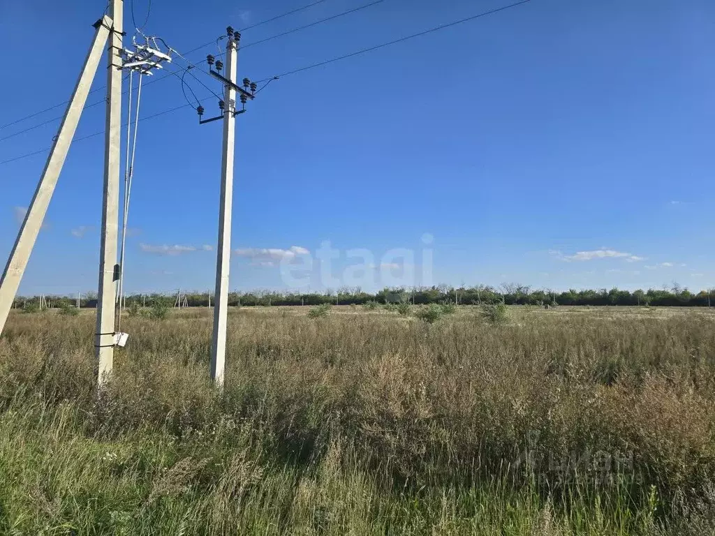 Участок в Воронежская область, Семилукский район, Губаревское с/пос, У ... - Фото 1