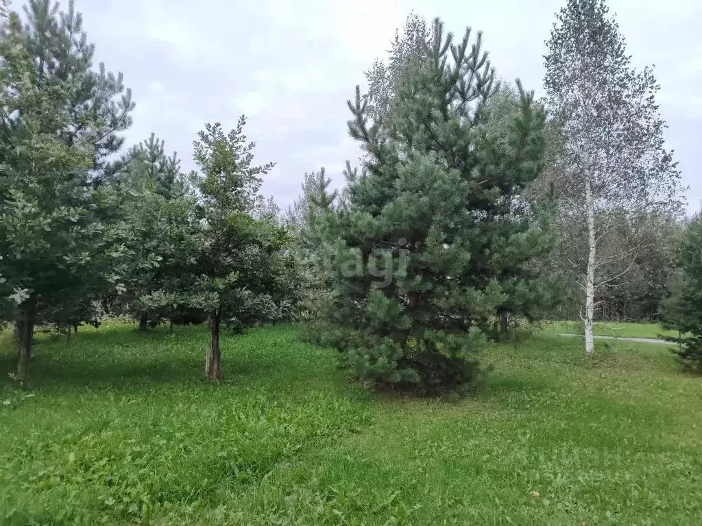 Участок в Кемеровская область, Кемеровский район, д. Пугачи Набережная ... - Фото 1