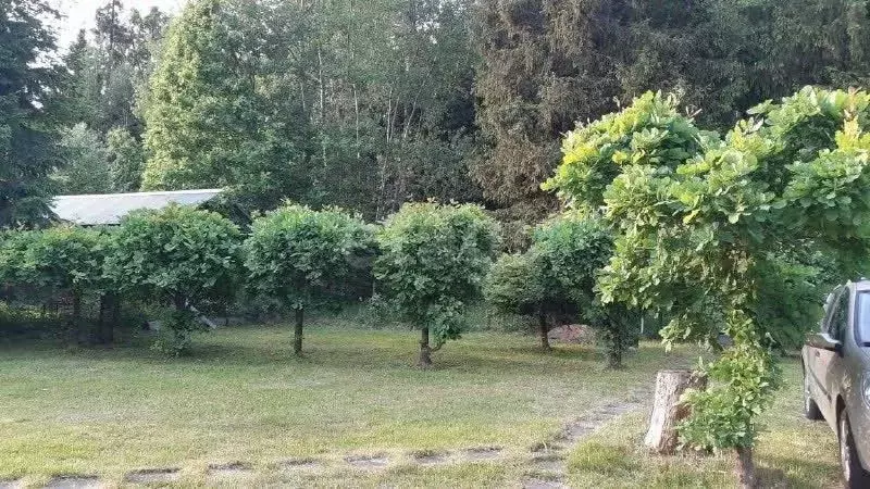 Дом в Московская область, Одинцовский городской округ, Скоротово СНТ ... - Фото 1