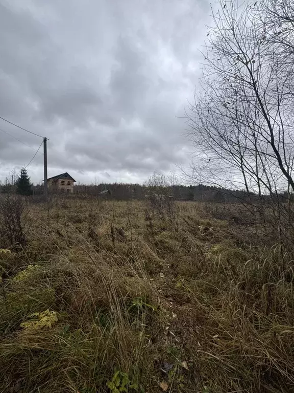 Продается участок в с. Новлянское - Фото 1