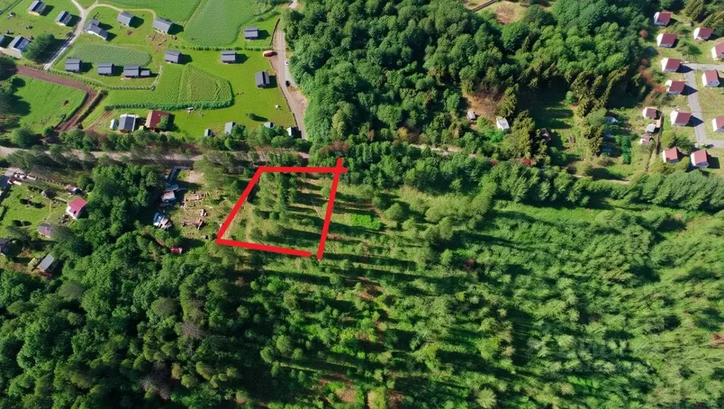 Участок в Ленинградская область, Приозерский район, Красноозерное ... - Фото 2