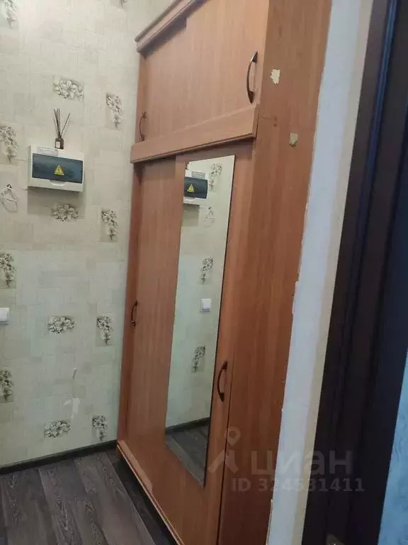 Студия Псковская область, Псков ул. Ижорского Батальона, 57А (25.0 м) - Фото 2