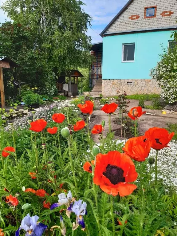 Дом в Саратовская область, д. Буркин Буерак ул. Горная, 72 (121 м) - Фото 0