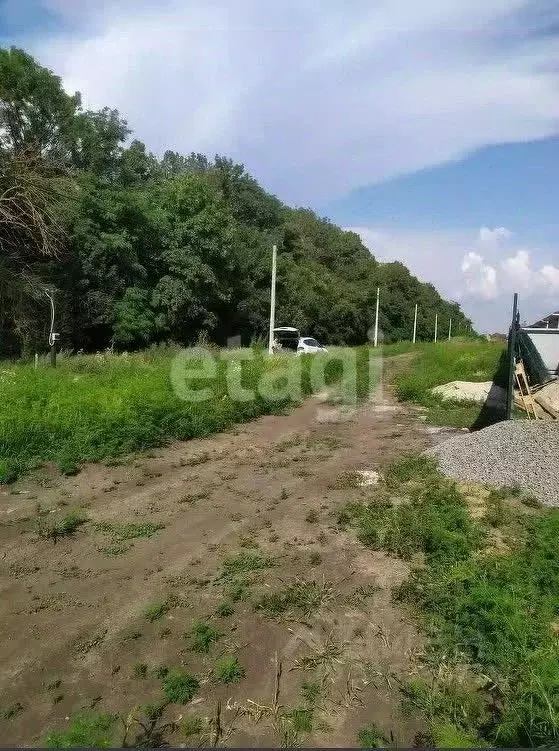 Участок в Ростовская область, Мясниковский район, Красный Крым хут. ... - Фото 1