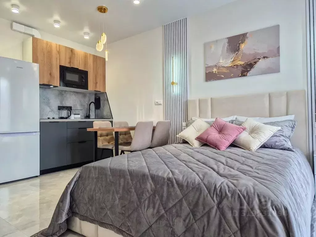 Студия Краснодарский край, Сочи ул. Искры, 88к2 (25.0 м) - Фото 1