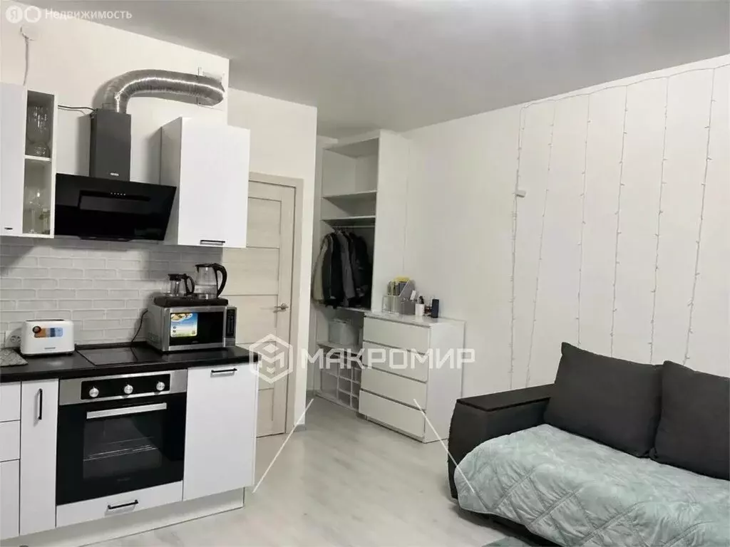 Квартира-студия: Санкт-Петербург, Арцеуловская аллея, 17 (29.7 м) - Фото 1