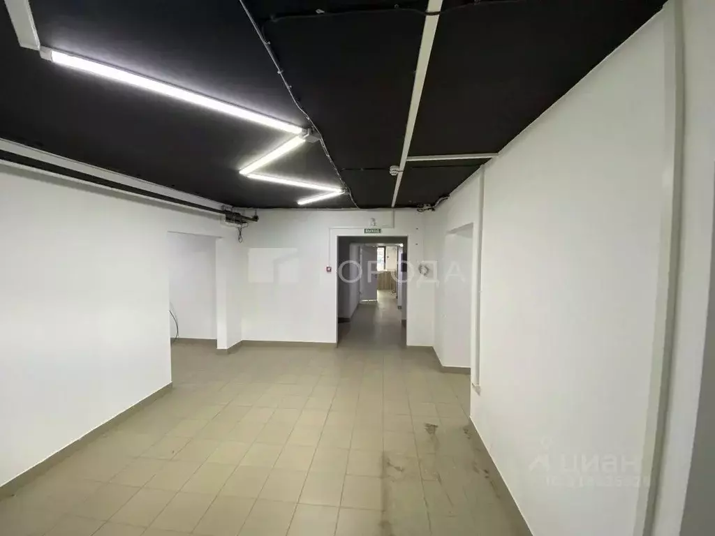 Помещение свободного назначения в Новосибирская область, Новосибирск ... - Фото 1