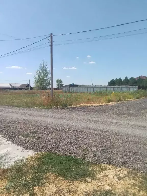 Участок в Ростовская область, Родионово-Несветайский район, ... - Фото 1