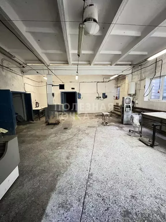 Производственное помещение в Пермский край, Ординский район, с. Орда ... - Фото 1