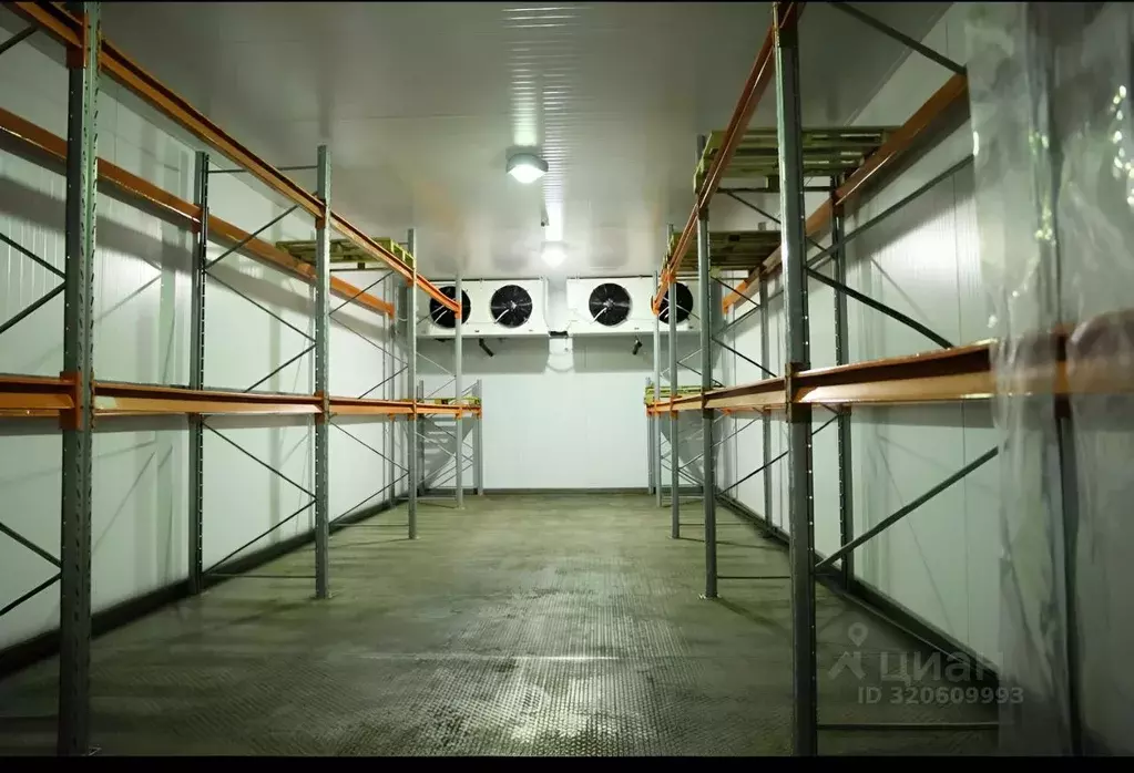 Производственное помещение в Московская область, Дубна Дачная ул., ... - Фото 2