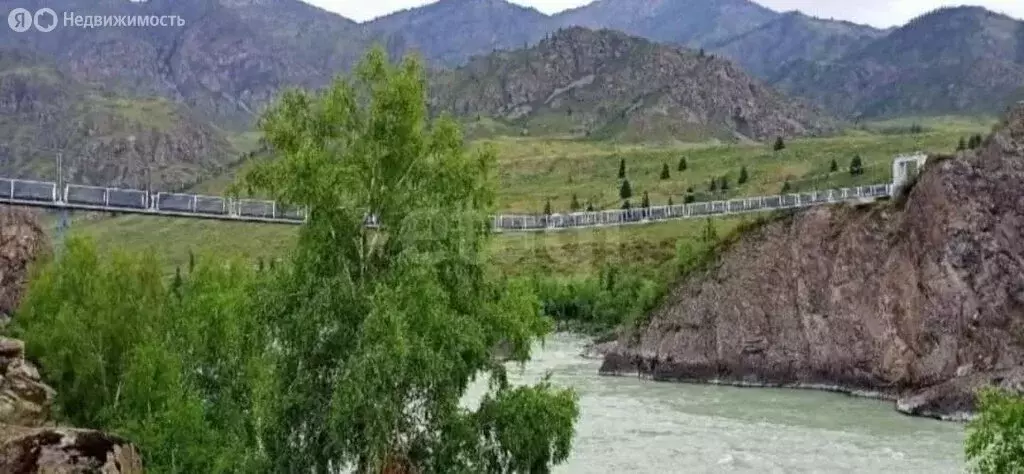 Участок в Онгудайский район, село Шашикман (158996 м) - Фото 1