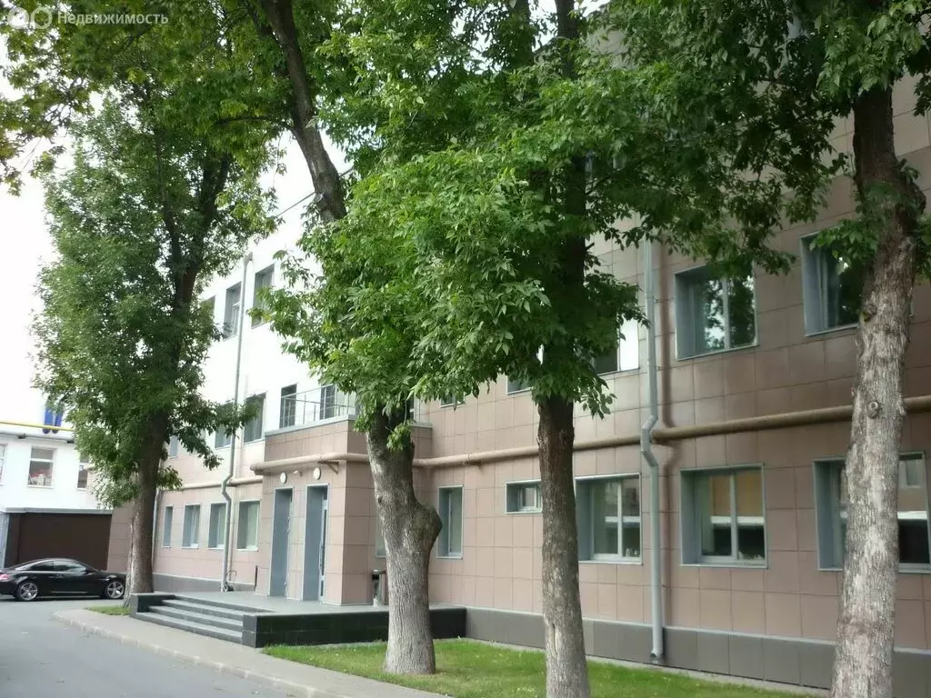 Офис (54.5 м) - Фото 1