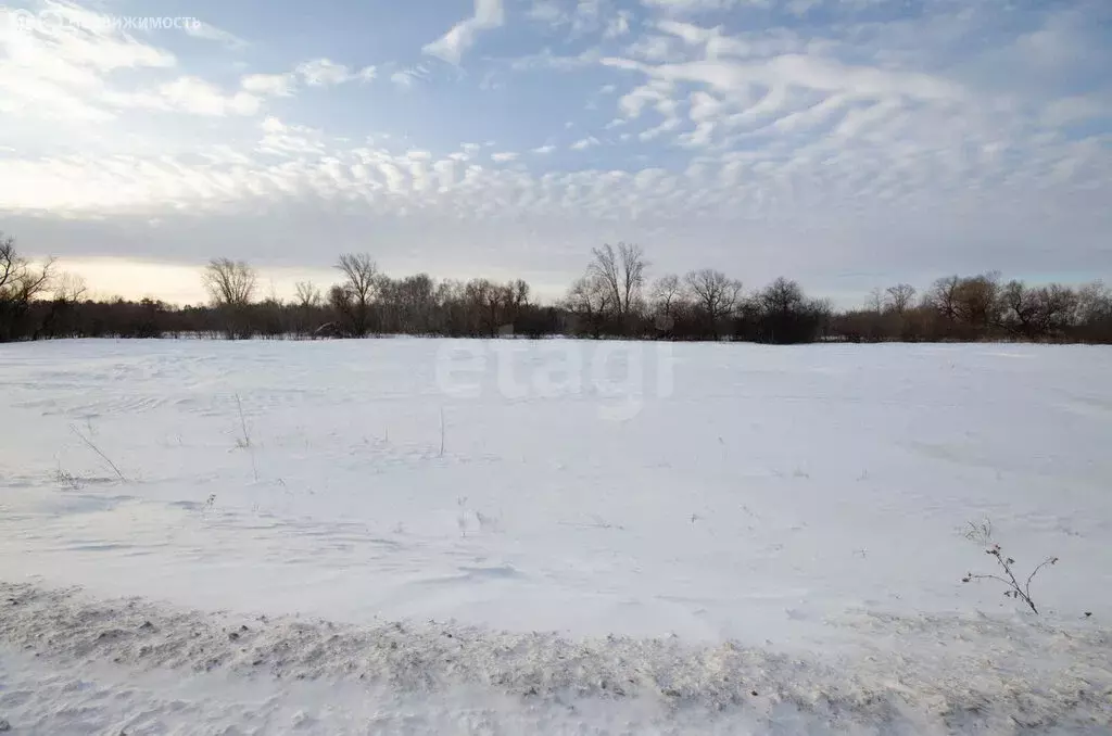 Участок в Заводоуковск, улица Гилёвская Роща (6.9 м) - Фото 2