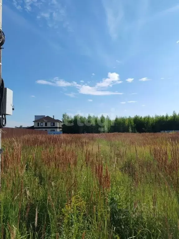 Участок в Нижегородская область, Балахнинский муниципальный округ, ... - Фото 0