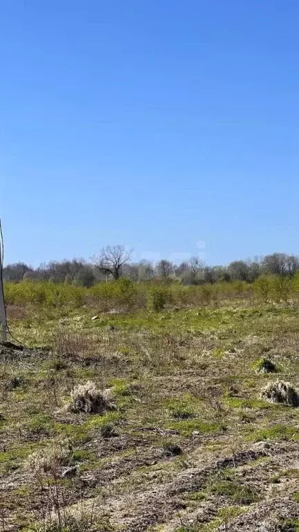 Участок в Калининградская область, Зеленоградский муниципальный округ, ... - Фото 2