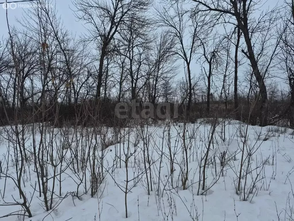 Участок в Борисоглебск, Придорожная улица (6.43 м) - Фото 2