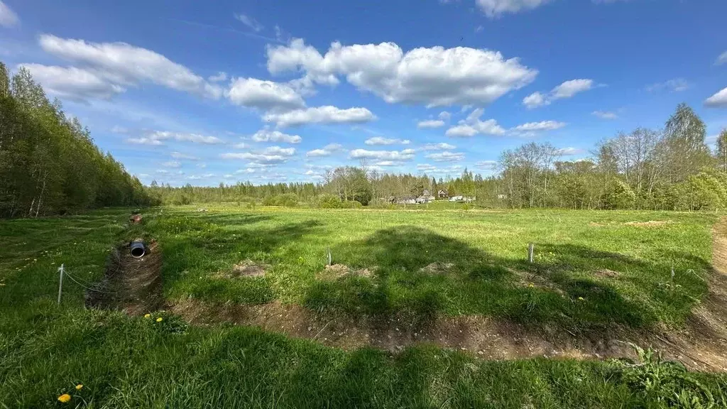 Участок в Новгородская область, Маловишерское городское поселение, д. ... - Фото 1