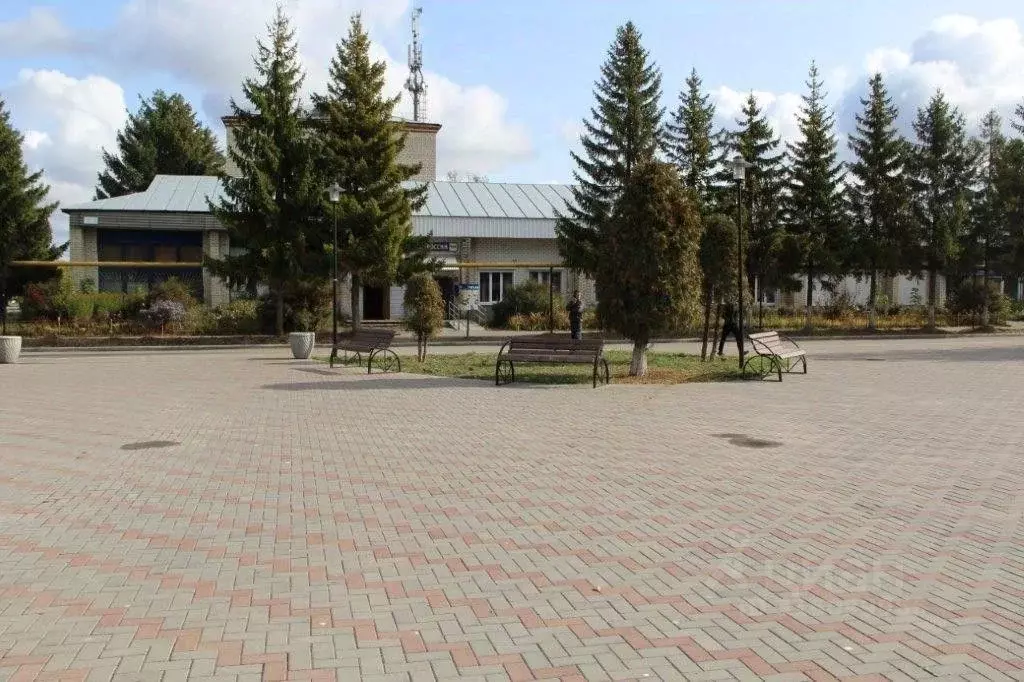 Помещение свободного назначения в Чувашия, с. Красные Четаи пл. ... - Фото 1