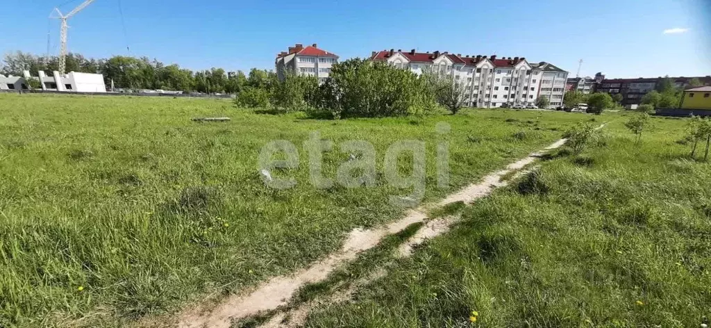 Участок в Брянская область, Брянский район, Новодарковичское с/пос, ... - Фото 1