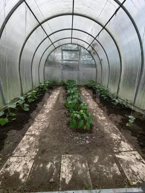 Дом в Костромская область, Костромской район, Шунгенское с/пос, с. ... - Фото 1