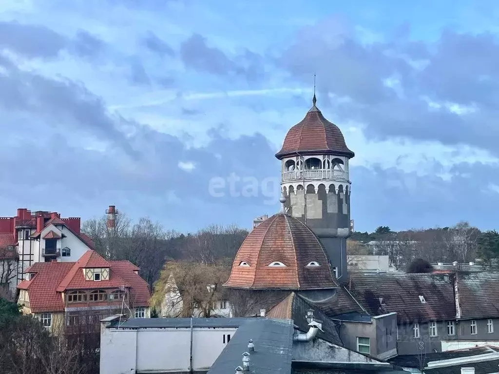 Студия Калининградская область, Светлогорск Центральная пл., 1к2 (29.0 ... - Фото 2