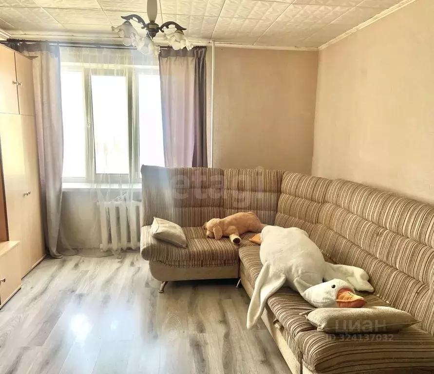 Комната Белгородская область, Белгород ул. Щорса, 16 (20.0 м) - Фото 1